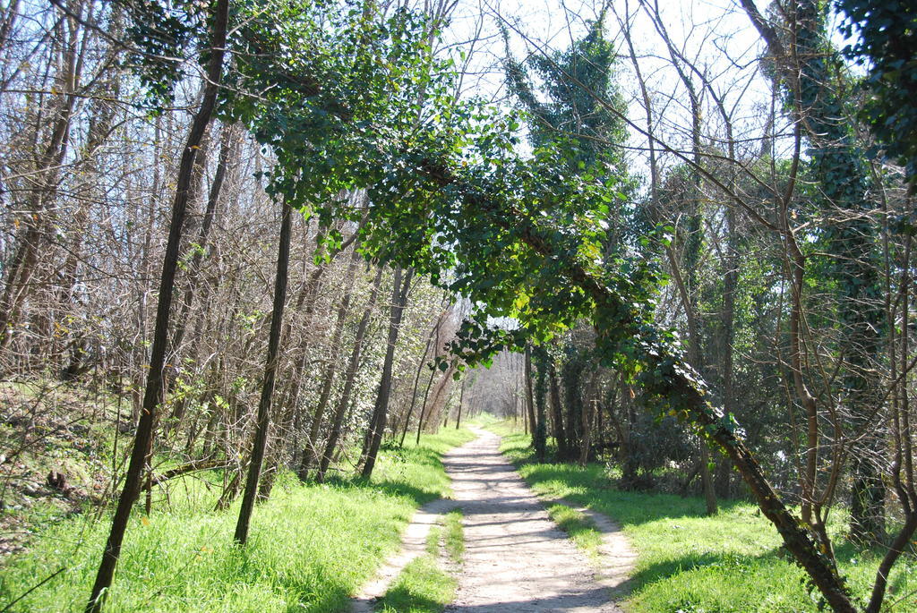 B&B Percorso Verde Ponte Valleceppi エクステリア 写真